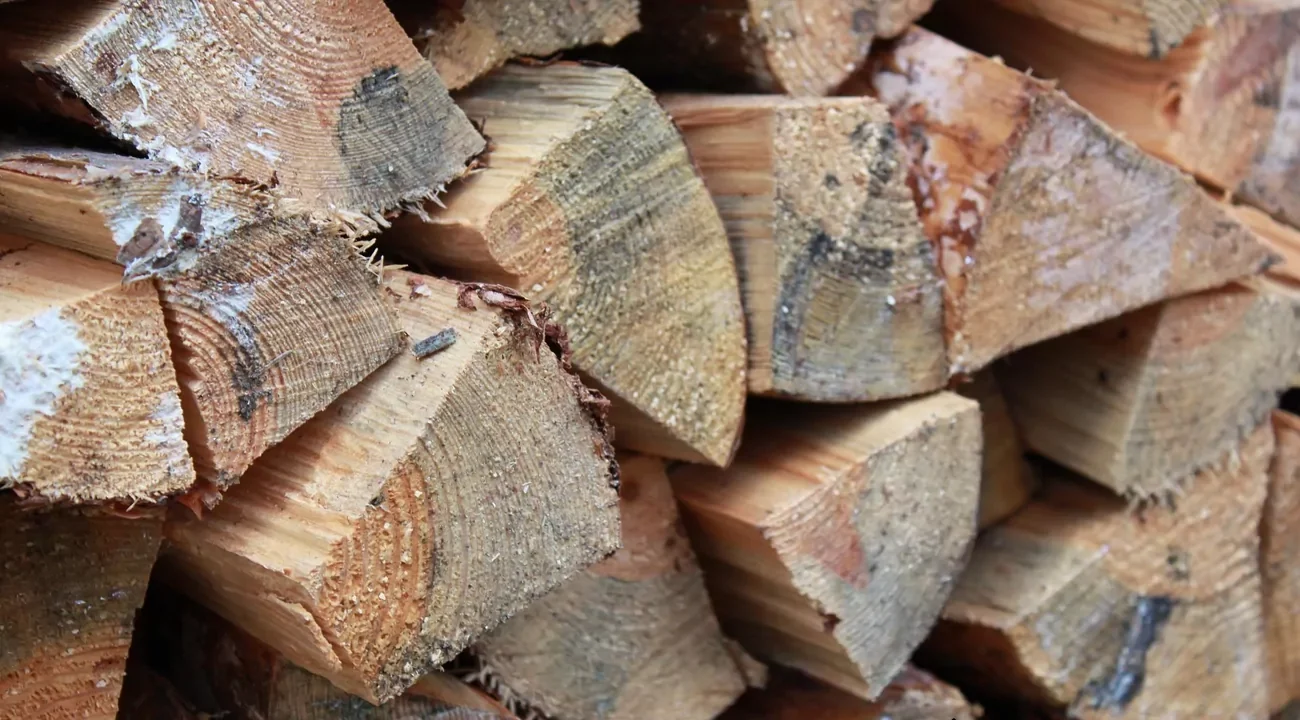 Zajišťuje dlouhé hoření a krásné teplo. Češi již objevili nejlepší dřevo pro krby