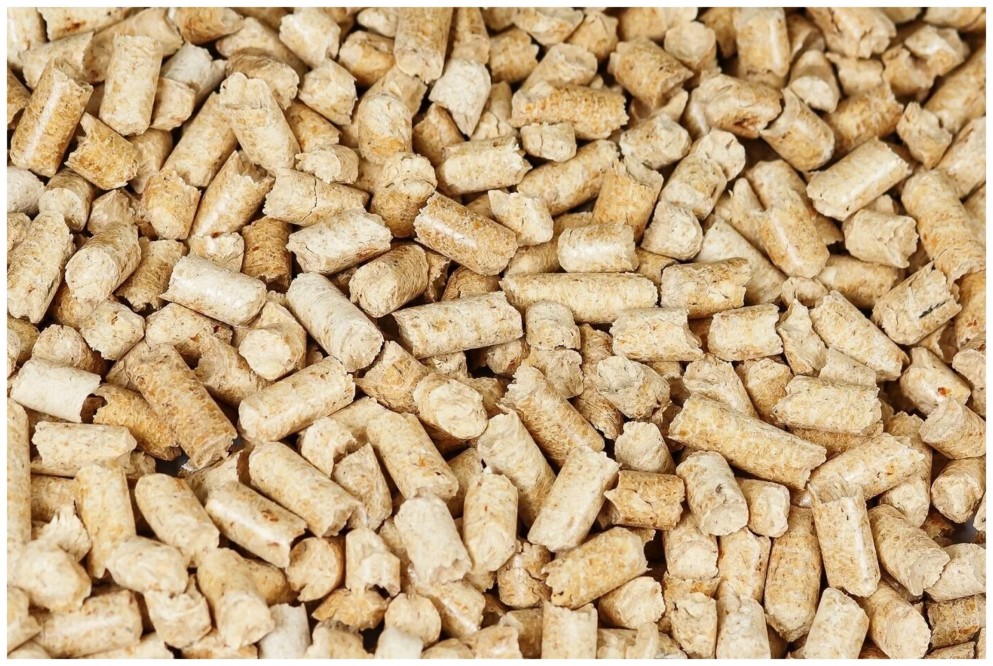 Vysypte na talíř a položte na parapet. Vlhkost z oken zmizí jako mávnutím kouzelného proutku.