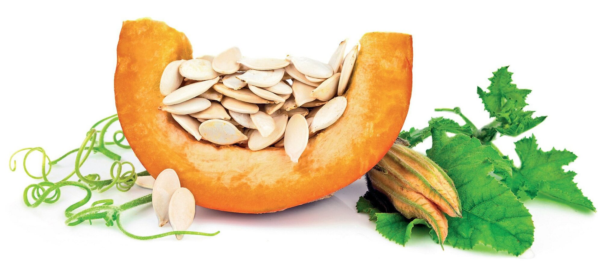 Úžasné výhody dýňových semínek, užitečná semínka