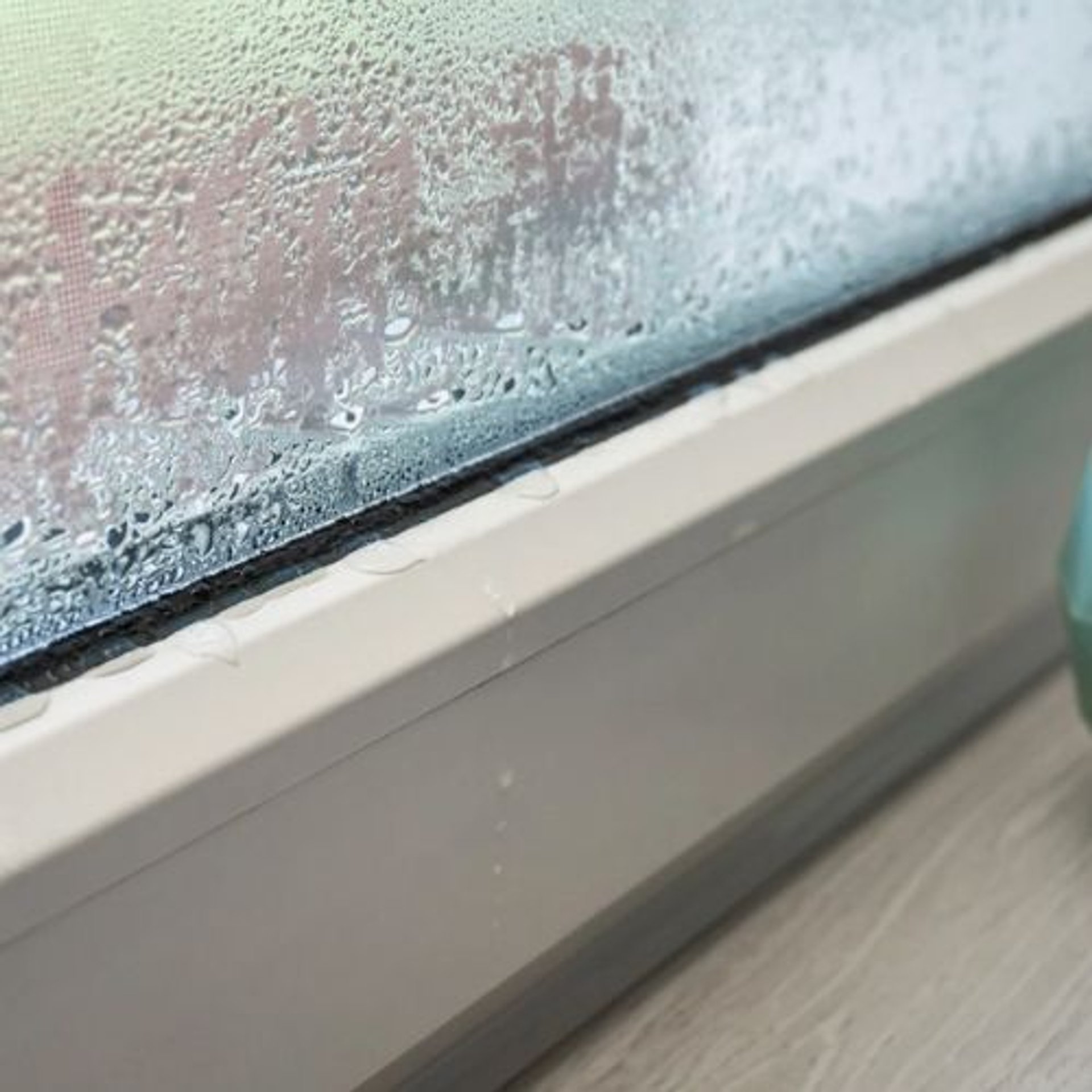 Jak se zbavit plísně na oknech? Nepoužívejte chemické prostředky, využijte produkty z kuchyně