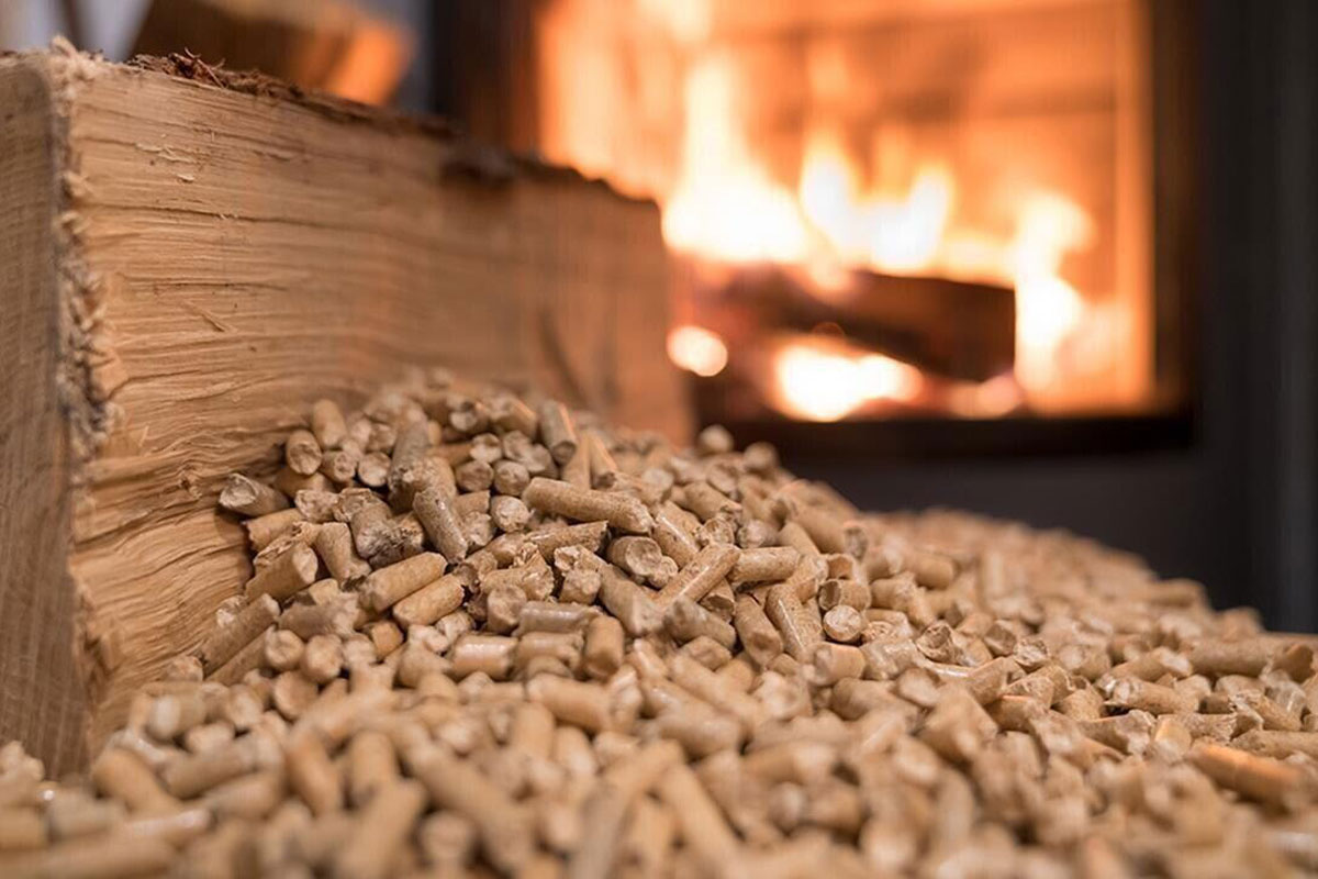 „Byli jsme velmi překvapeni“: jejich granule, které byly skladovány měsíce, byly ve skutečnosti prakticky nepoužitelné.