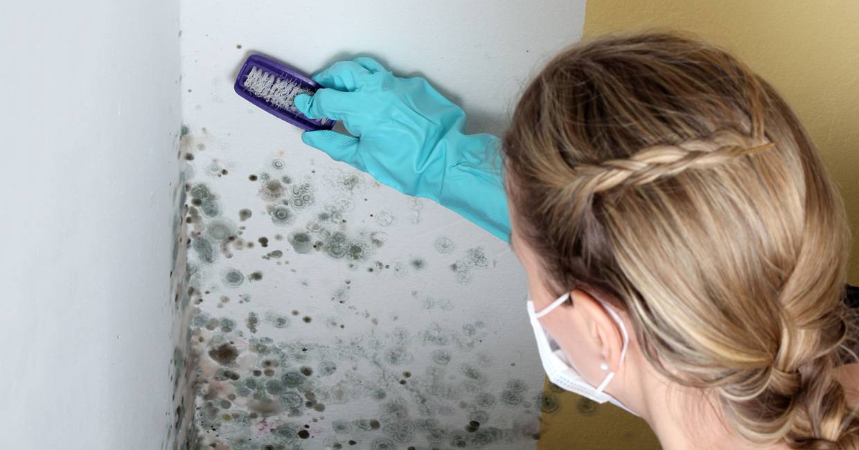 Musí stěny dýchat? Odborník vyvrací mýtus o plísni