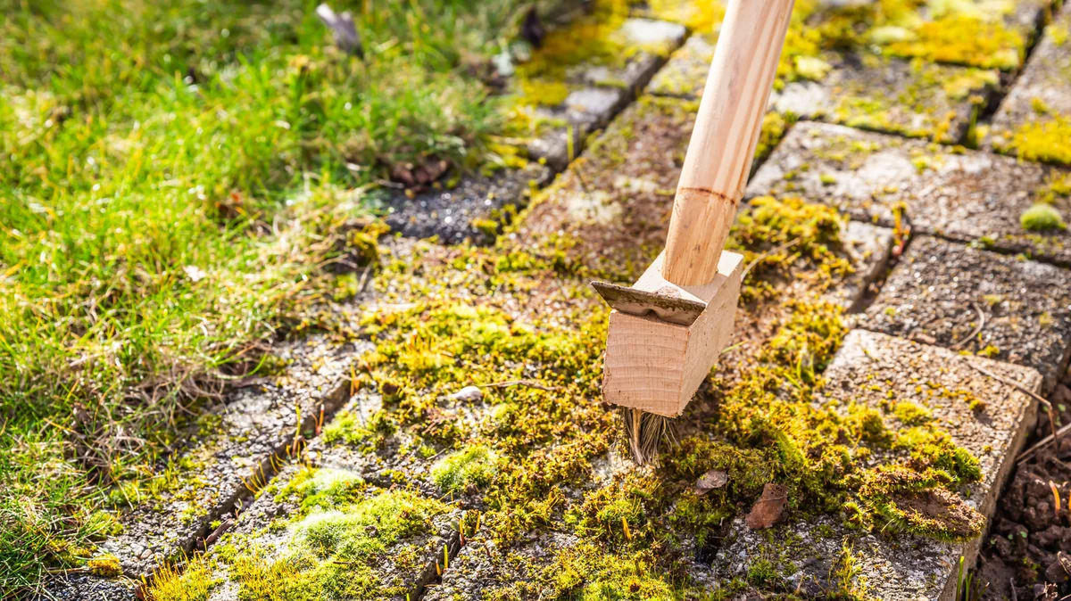 Smíchejte s vodou a nastříkejte na trávník. Účinně odstraní mech.