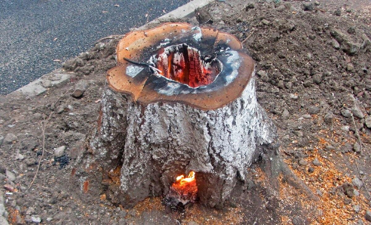 Fenomenální způsob, jak odstranit pařez. Bez námahy a nákladů.