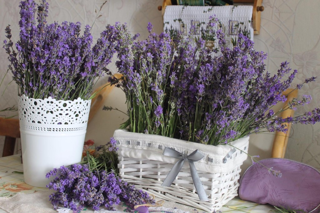 Dejte do skříně. Oblečení bude vonět jako drahé parfémy