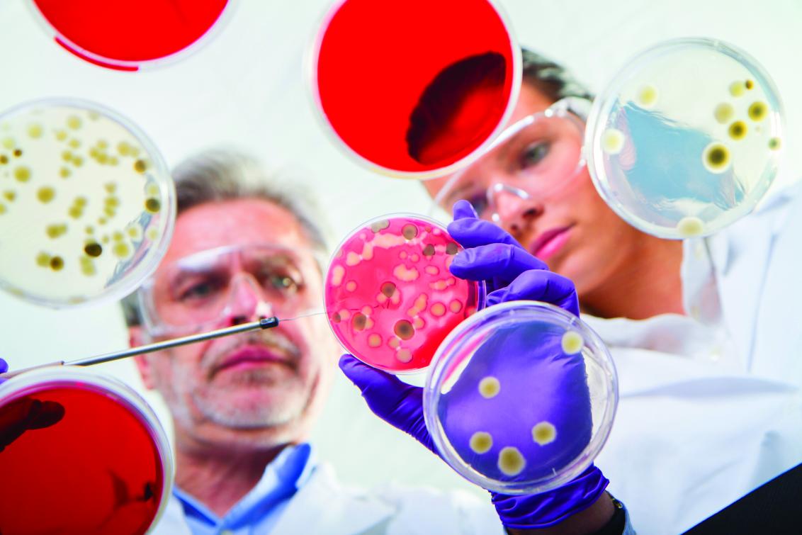 „Znepokojivé“ výsledky: WHO varuje před šířením superbakterií odolných vůči antibiotikům