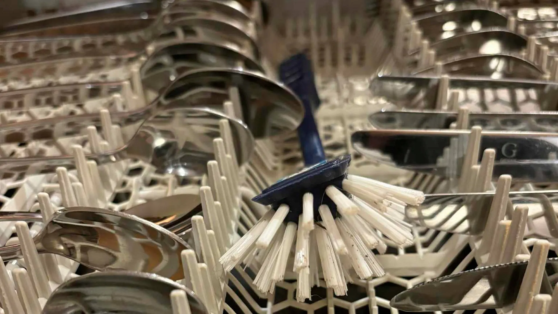 Je třeba umýt kartáč na nádobí v myčce nebo ho vyhodit do koše, pokud je znečištěný?