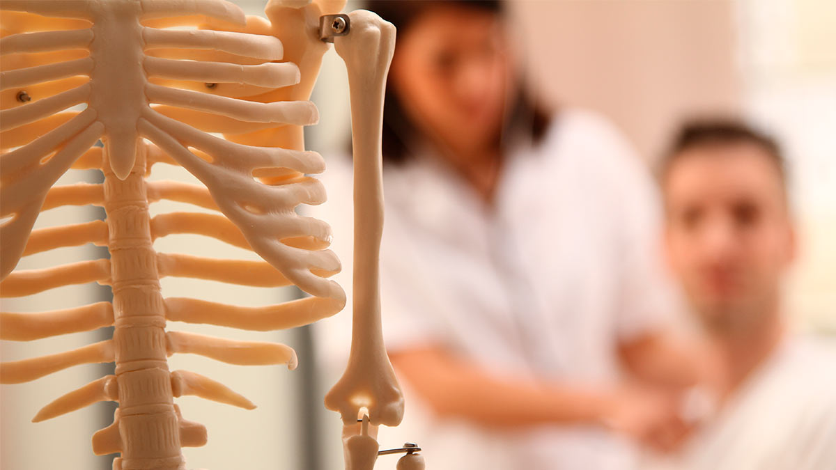 Nezbytné v jídelníčku po 60. roce života. Odborník: posilují kosti a zlepšují trávení