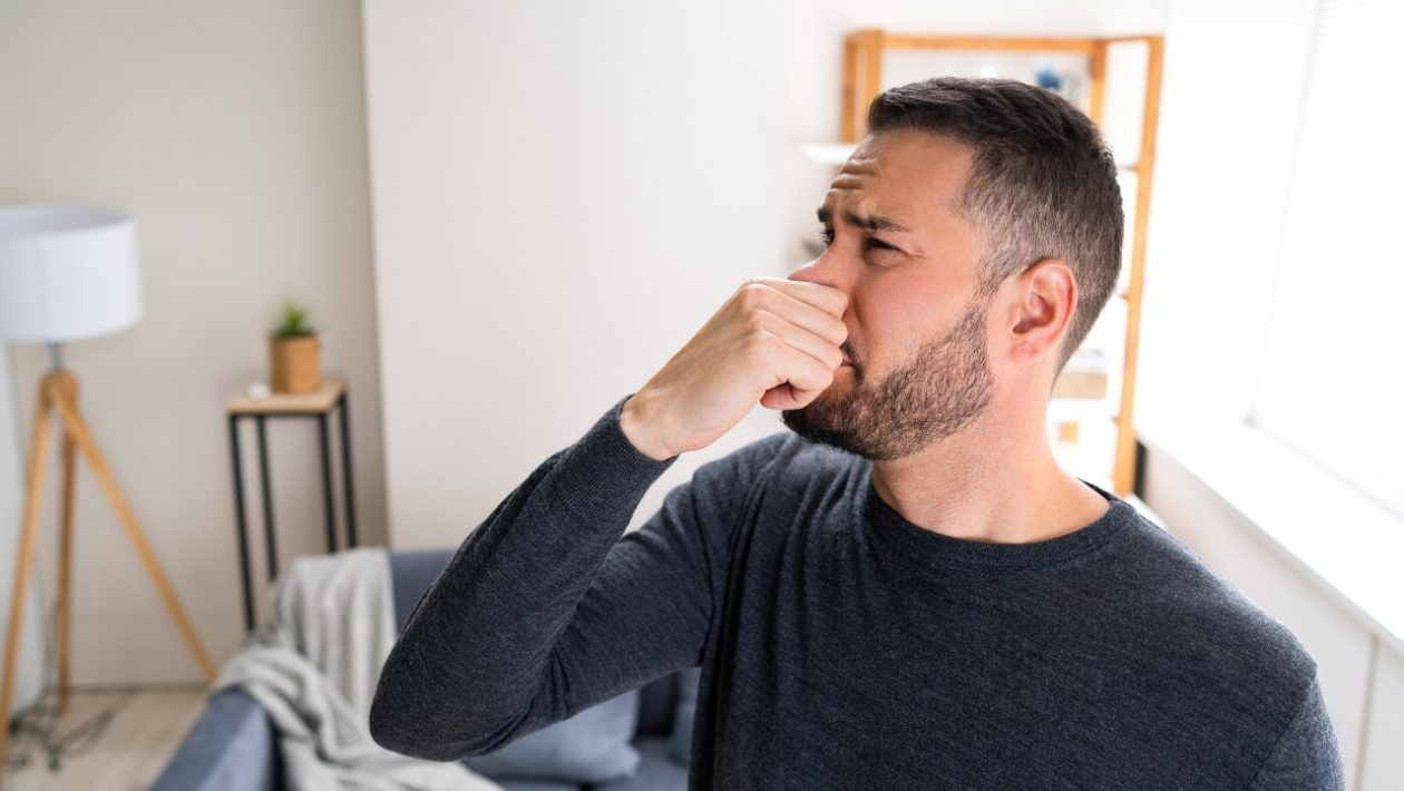 Odstraňujeme zatuchlý zápach z oblečení: přírodní zázračná přísada pomáhá okamžitě