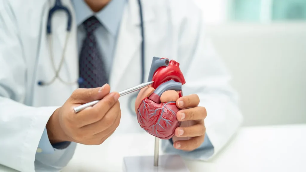 Srdeční blokáda: 7 rad kardiologů pro udržení čistoty cév a plynulejšího krevního oběhu