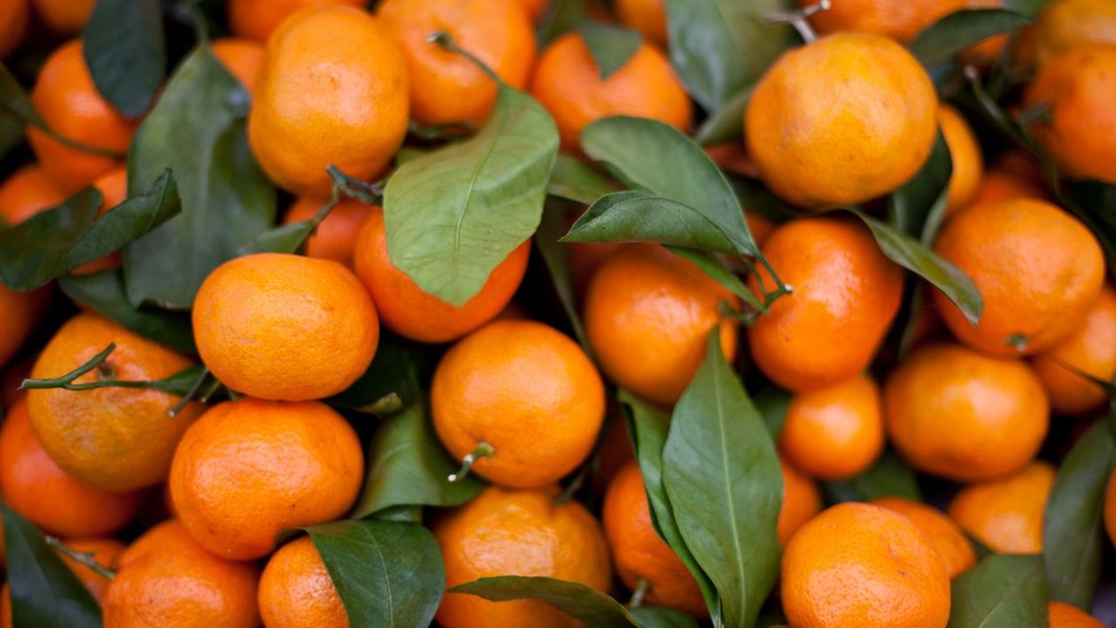 Sladké mandarinky lze snadno rozpoznat. Je důležité pochopit jednu věc.