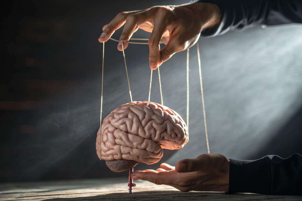 Svobodná vůle je iluze vytvořená naším mozkem. Vše, co se stane, je již předurčeno.