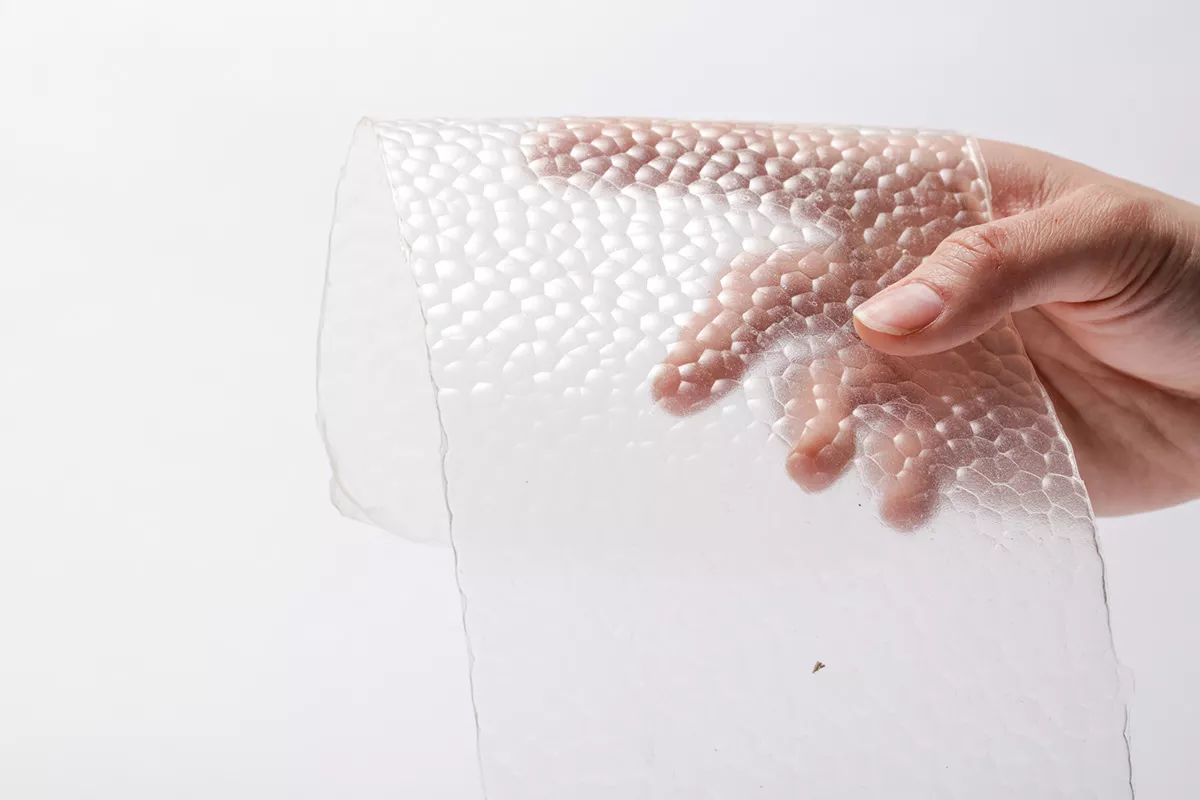 Mladý výzkumník z Massachusetts Institute of Technology přeměňuje rybí šupiny na biologicky rozložitelnou alternativu k jednorázovým plastům