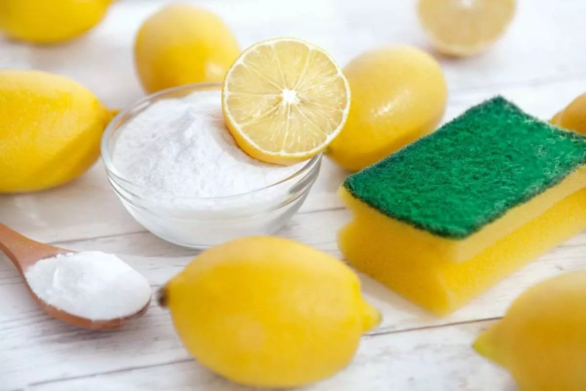 Escherichia coli, salmonella... když se vaše kuchyňské houbičky stávají tichým nebezpečím pro vaše zdraví.