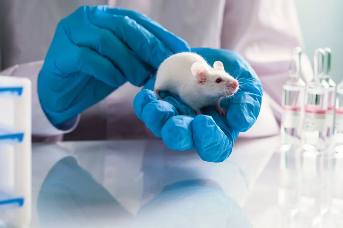 Čína dosáhla pokroku ve vývoji „pilulky nesmrtelnosti“, která umožňuje žít až 150 let