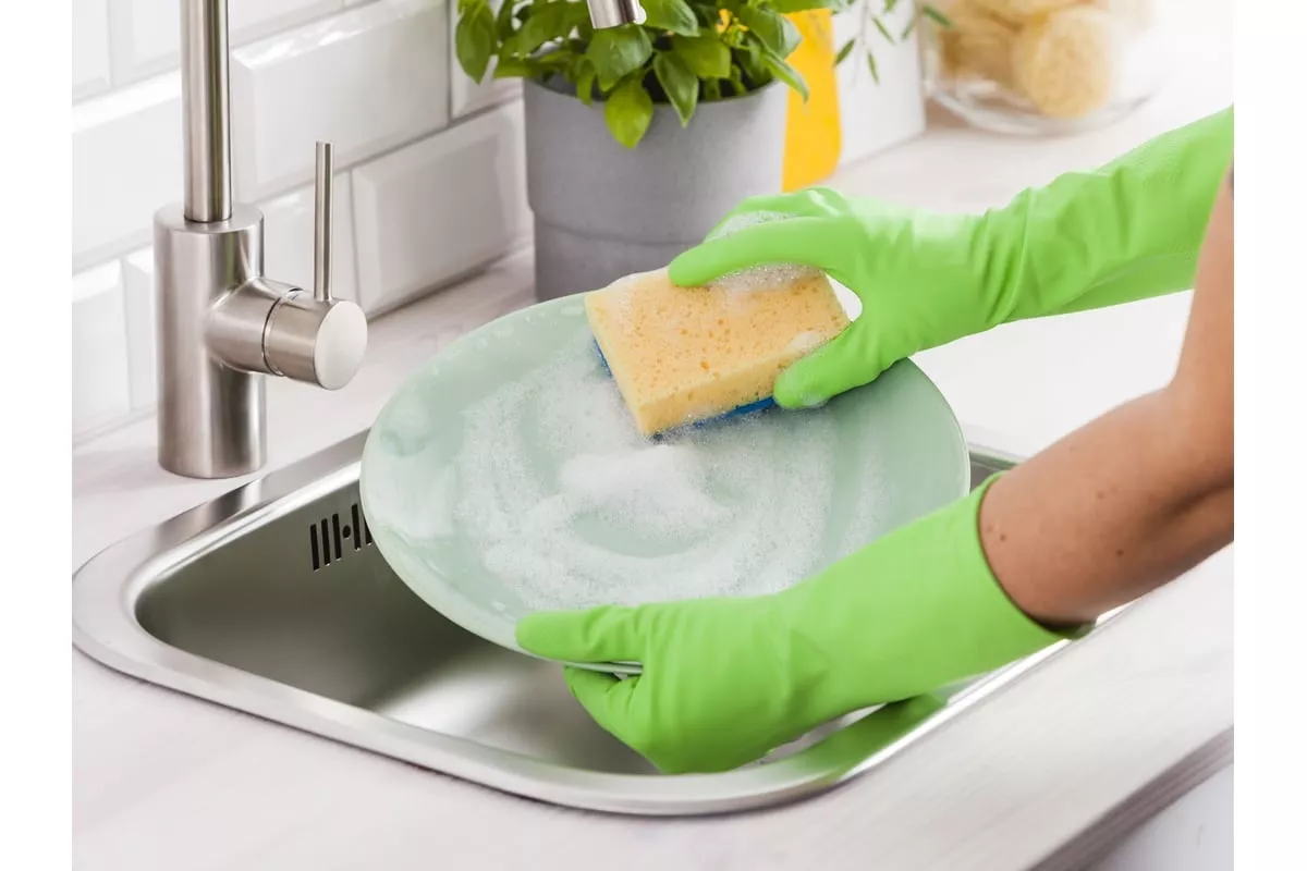 Escherichia coli, salmonella... když se vaše kuchyňské houbičky stávají tichým nebezpečím pro vaše zdraví.