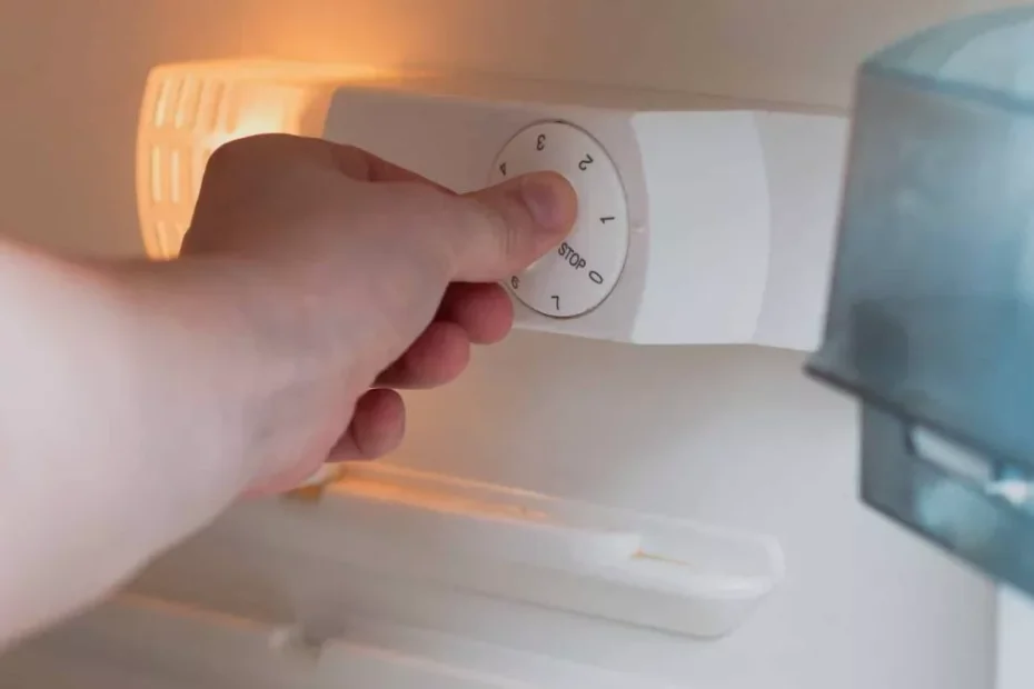 Mnozí nevědí, že ciferník chladničky neukazuje teplotu: zde je návod, jak jej nastavit, abyste neplatili zbytečné peníze.