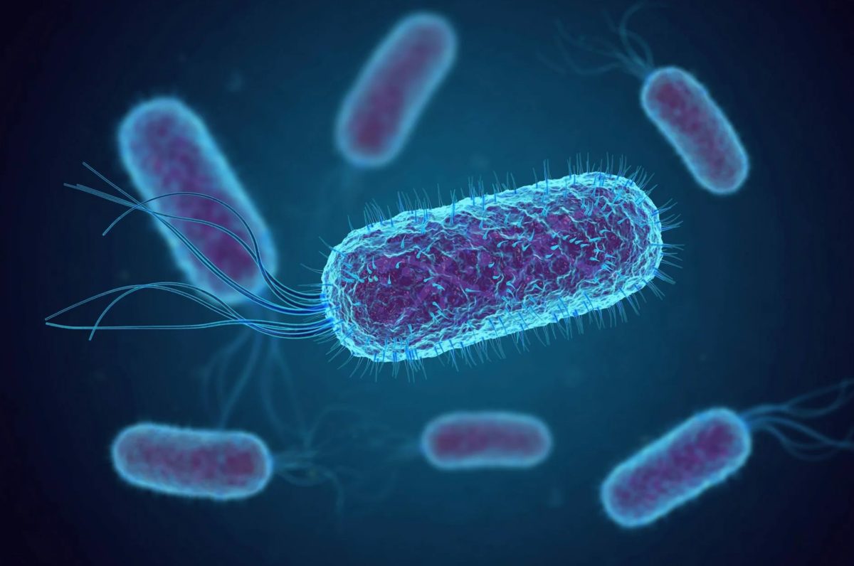 Opakované používání lahví není problém: věda tvrdí, že skutečné nebezpečí spočívá v tom, jak to děláme