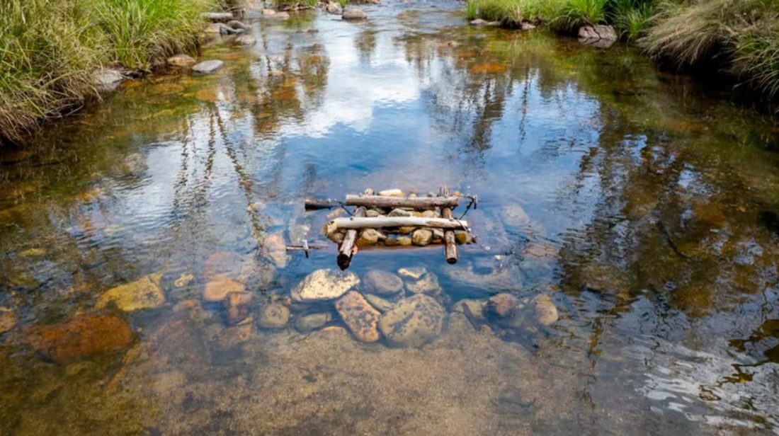 Ekologové v Austrálii staví „hotely“ pro ryby, aby zachránili ohrožené druhy sladkovodních ryb.