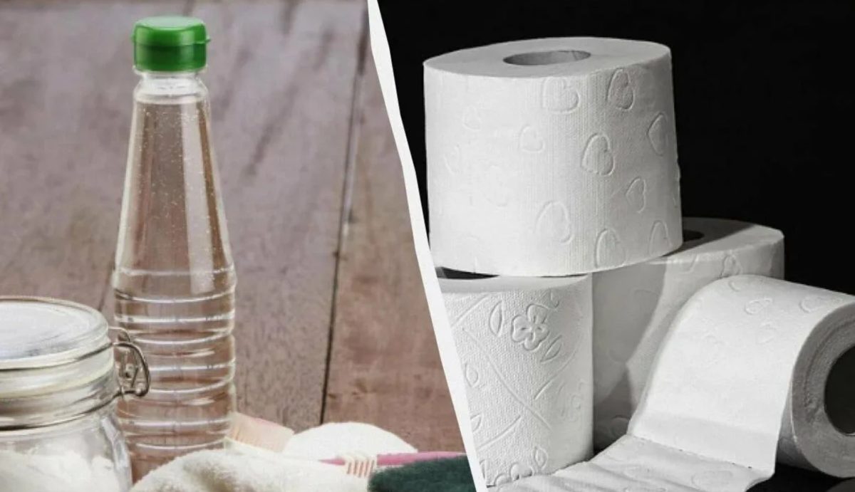 Proč byste měli nastříkat ocet na toaletní papír: co to znamená?