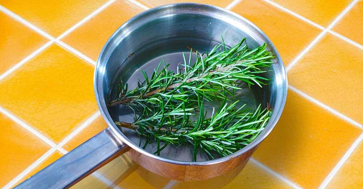 Jak používat rozmarýnovou vodu k prevenci vypadávání vlasů a stimulaci jejich růstu na podzim