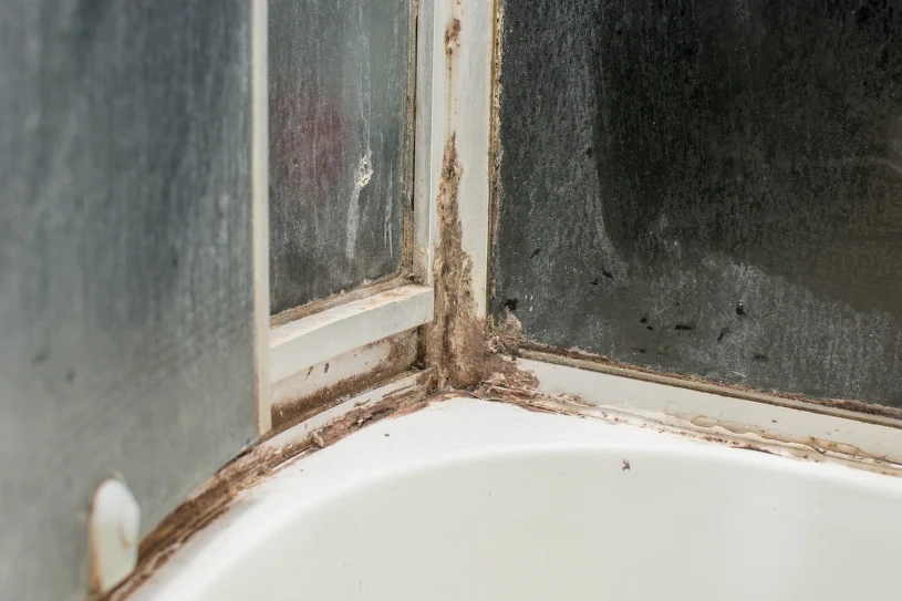 Po večeři s nimi vyčistěte sprchový kout. Vaše sprcha bude jako nová.