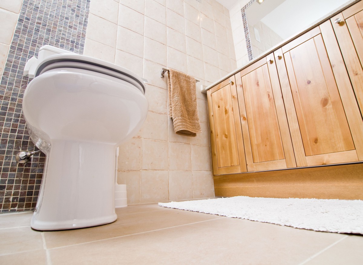 Odkud se v domě berou šupinatky? Chytrá past vám pomůže se jich zbavit.