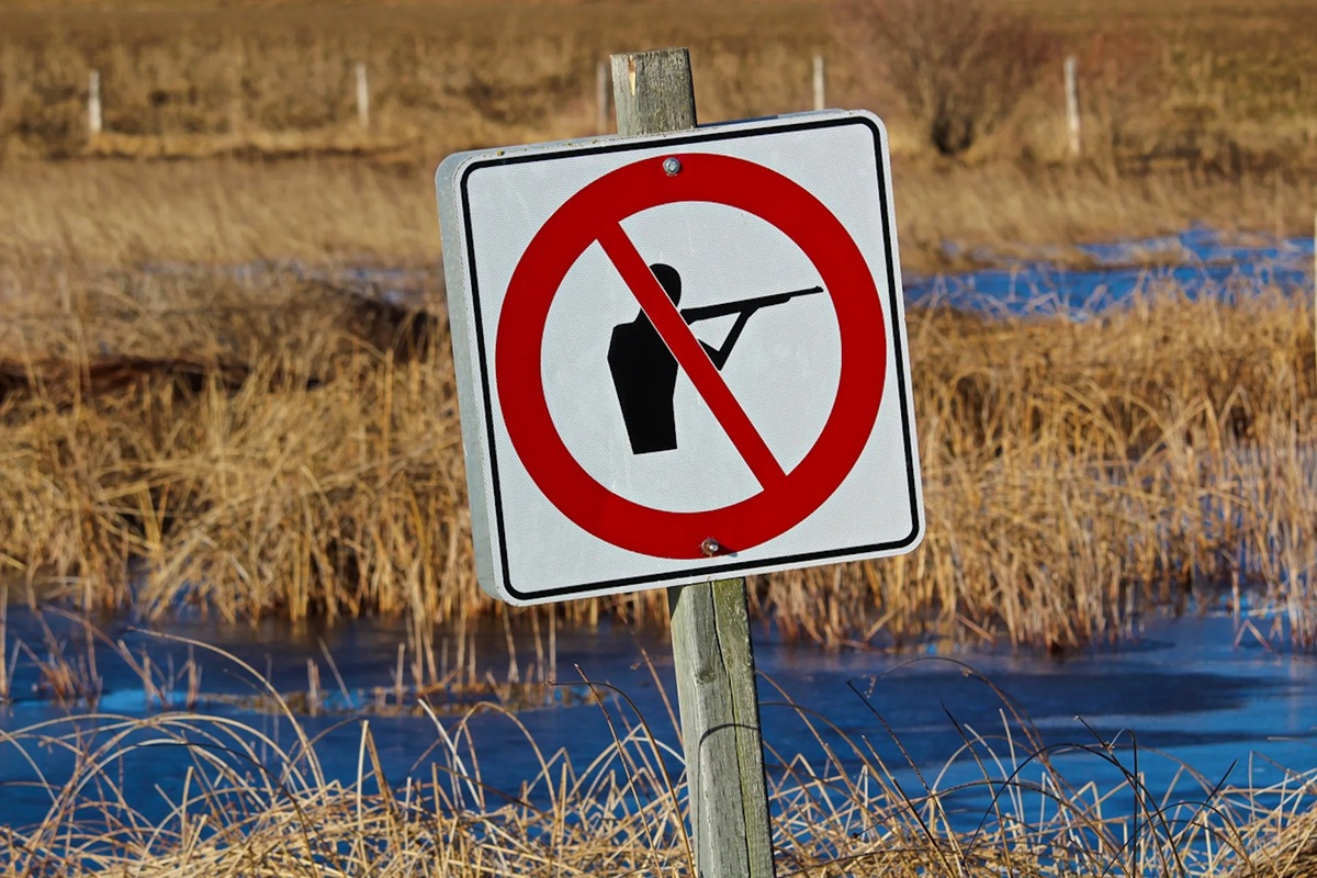 Jak funguje senzorická síť inspirovaná přírodou, která posiluje ochranu biologické rozmanitosti?