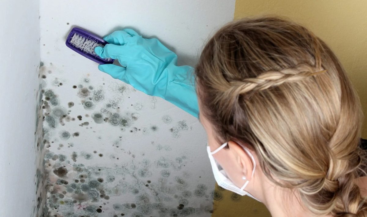 Bez bělidla a amoniaku: jednoduchý způsob odstraňování skvrn v domácnosti, doporučovaný malíři