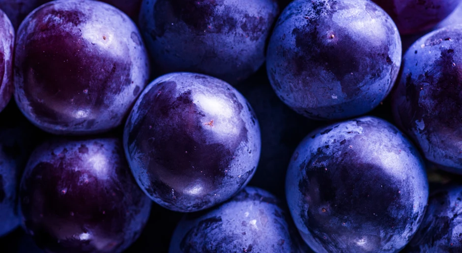 Vědci bijí na poplach. Ničí střeva, ale my přesto jíme bez míry