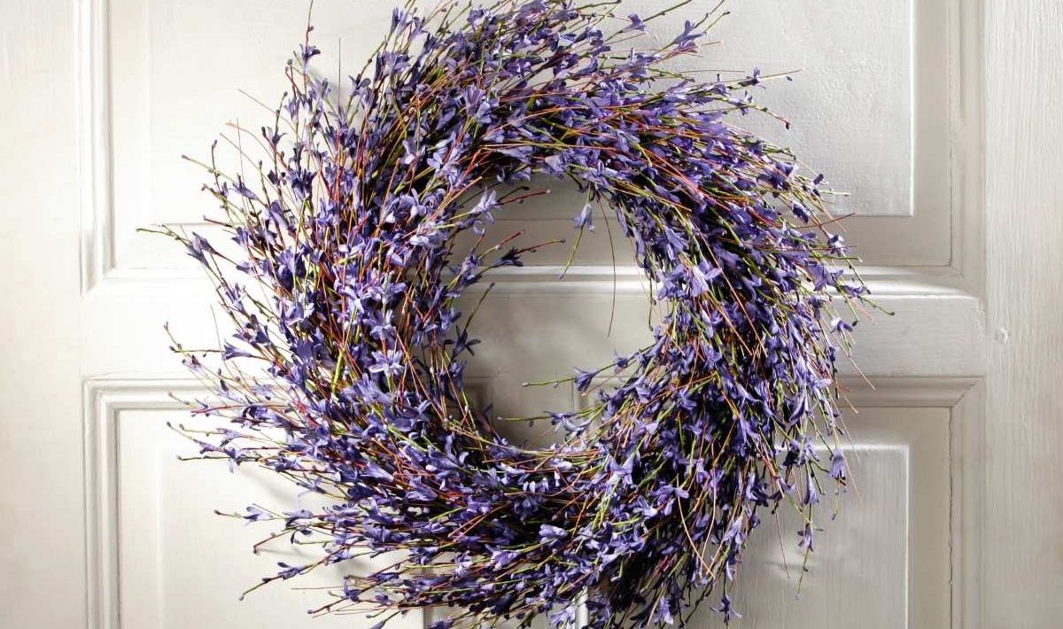 Umístění větviček levandule u vstupních dveří: k čemu to slouží a proč se to doporučuje.