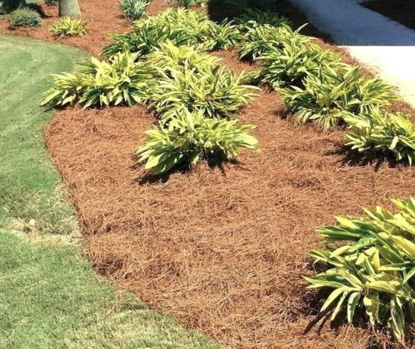 Mulčování, které se v prosinci stává skutečným jedem pro zahradu