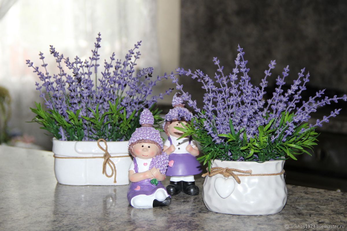 Umístění větviček levandule u vstupních dveří: k čemu to slouží a proč se to doporučuje.