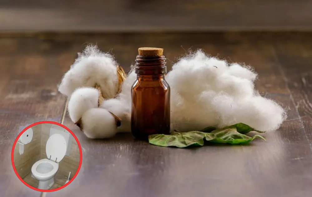 Jak odstranit zápach z kanalizace v koupelně a dosáhnout svěží vůně po celý den