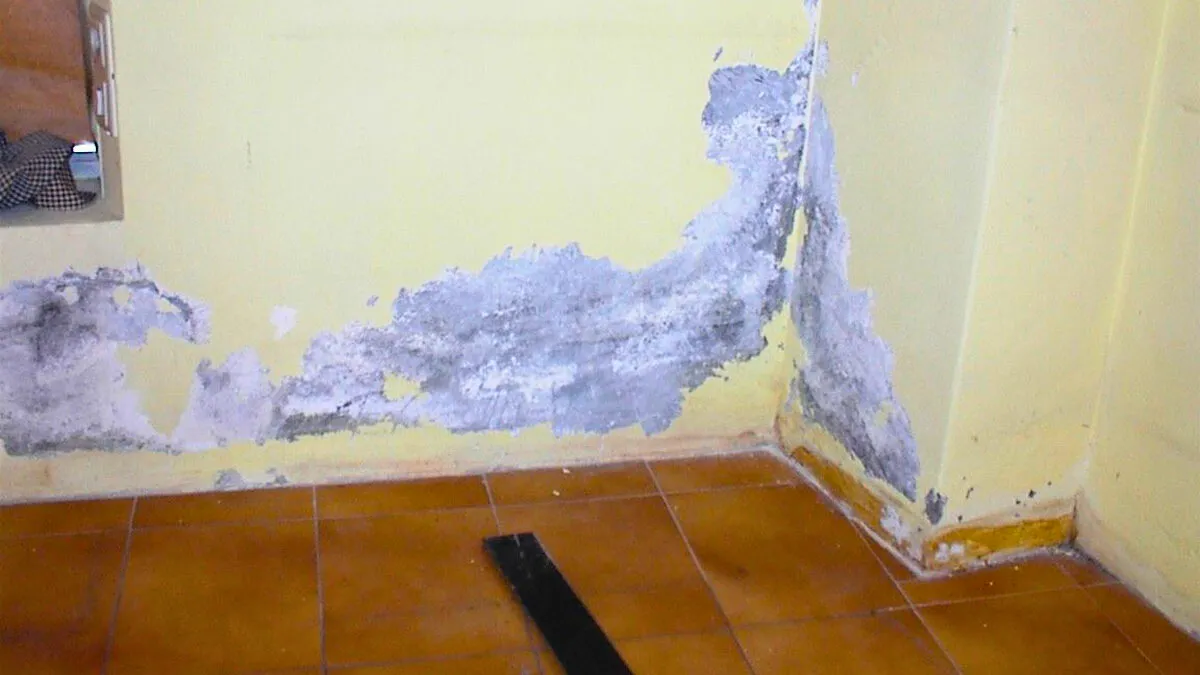 Vlhkost a sůl na stěnách domu: recept, jak zabránit jejich opětovnému výskytu