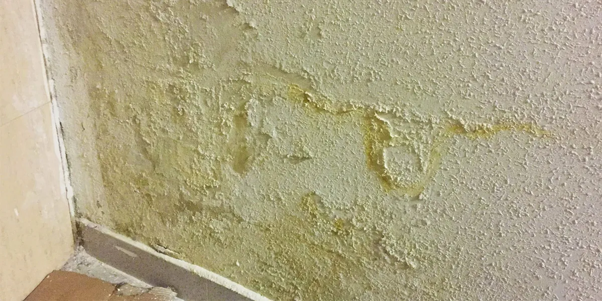 Vlhkost a sůl na stěnách domu: recept, jak zabránit jejich opětovnému výskytu