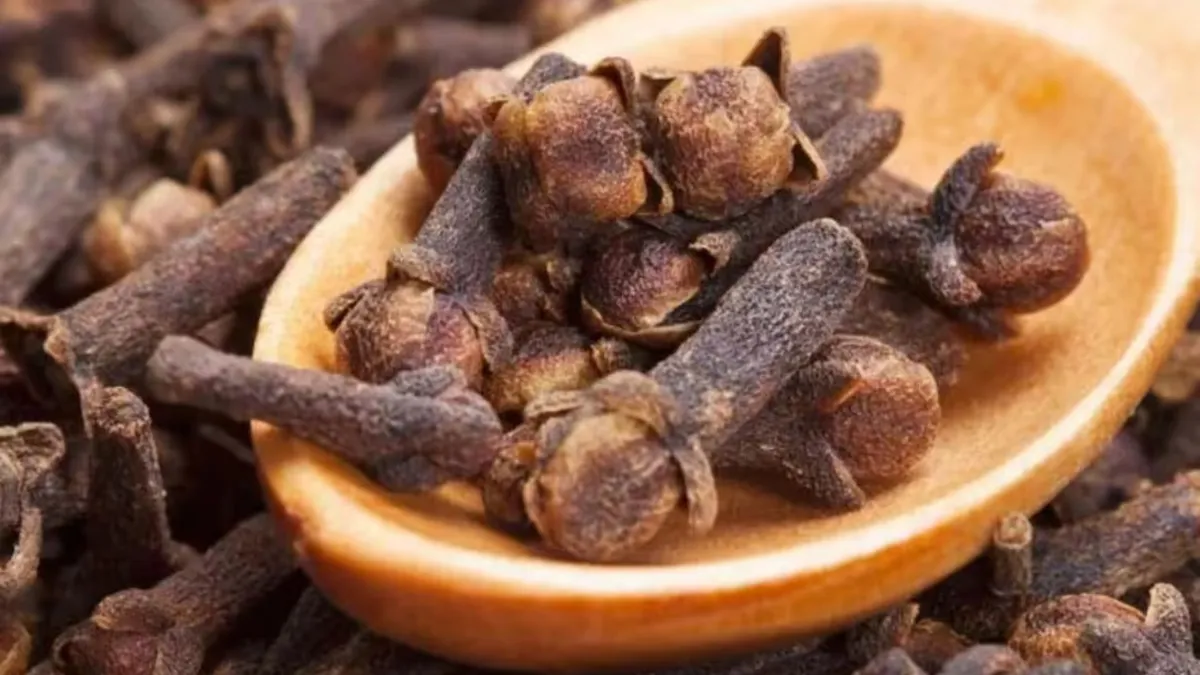 Hřebíček a jeho výjimečné výhody pro zdraví ústní dutiny