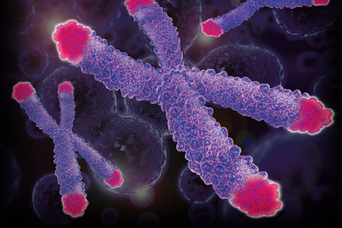 Vědci: zpomaluje biologické stárnutí. Stačí 3 šálky denně.