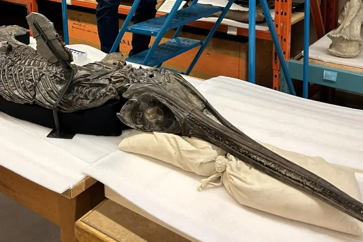 Toto tajemné stvoření, objevené u pobřeží Anglie, připravilo vědce o řeč.