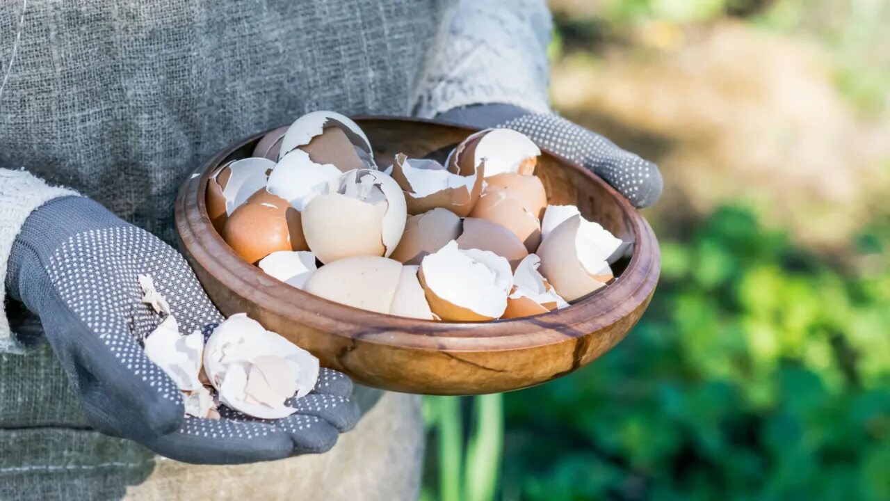 Používejte jednou za dva týdny. Vaše peníze porostou rychleji, než si myslíte.