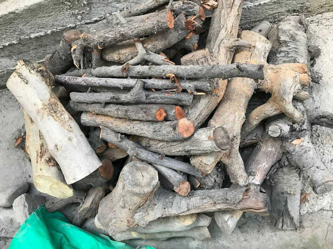 Češi objevili nové „zlato“ pro krby. Toto dřevo je levné a skvěle topí.