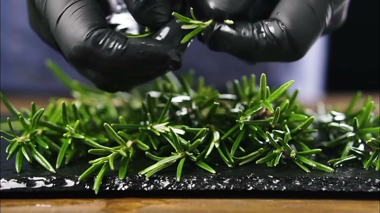 Rozmarýn a dřevěné uhlí: jaké jsou výhody jejich smíchání a jaké jsou jejich přínosy?