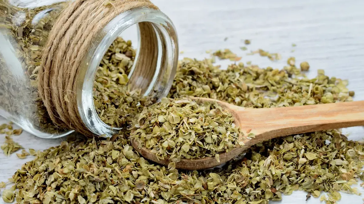 Skvělé výhody oregana a jeho léčivé vlastnosti