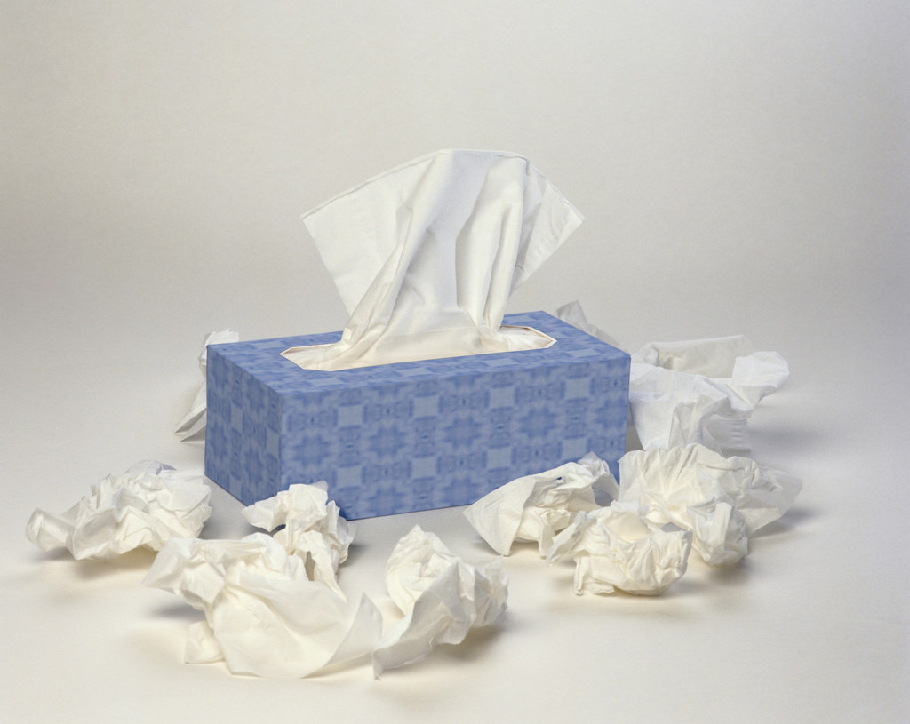 Vyhazujete sem použité papírové ručníky a ubrousky? Děláte častou chybu.