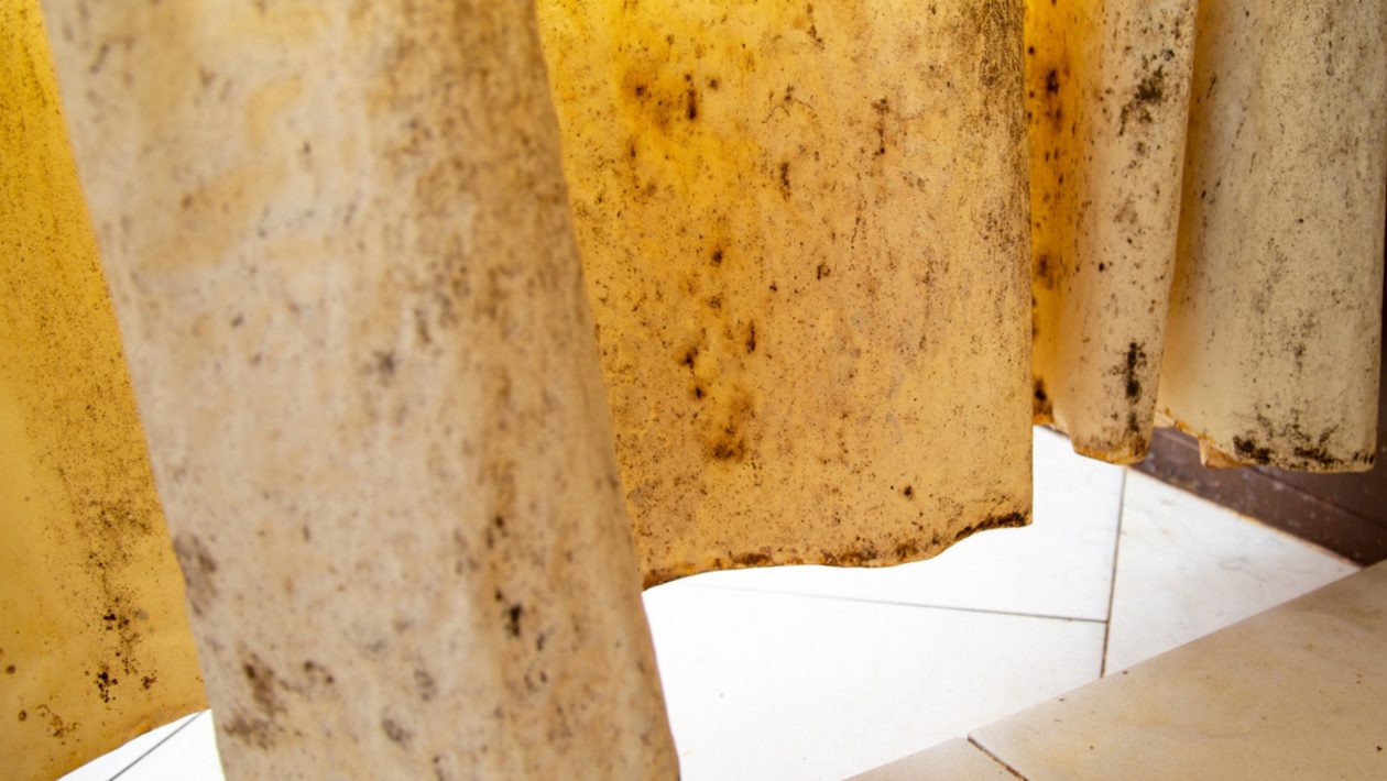 Jak rychle odstranit plíseň a houbu ze sprchového závěsu