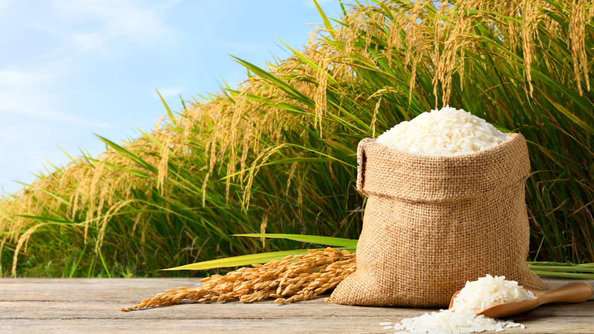 Položte to na parapet a okna za hodinu vyschnou. Funguje to celou zimu!