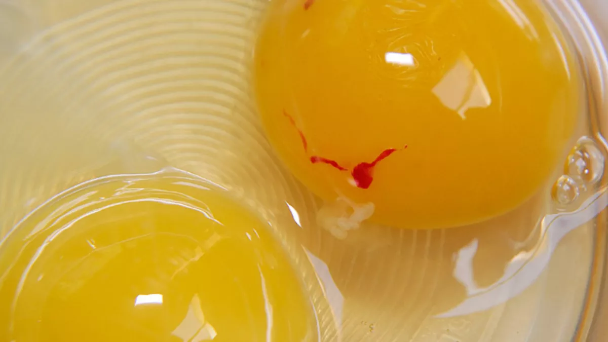 Červená skvrna na vejci. Téměř nikdo neví, co znamená a zda je možné takové vejce jíst.