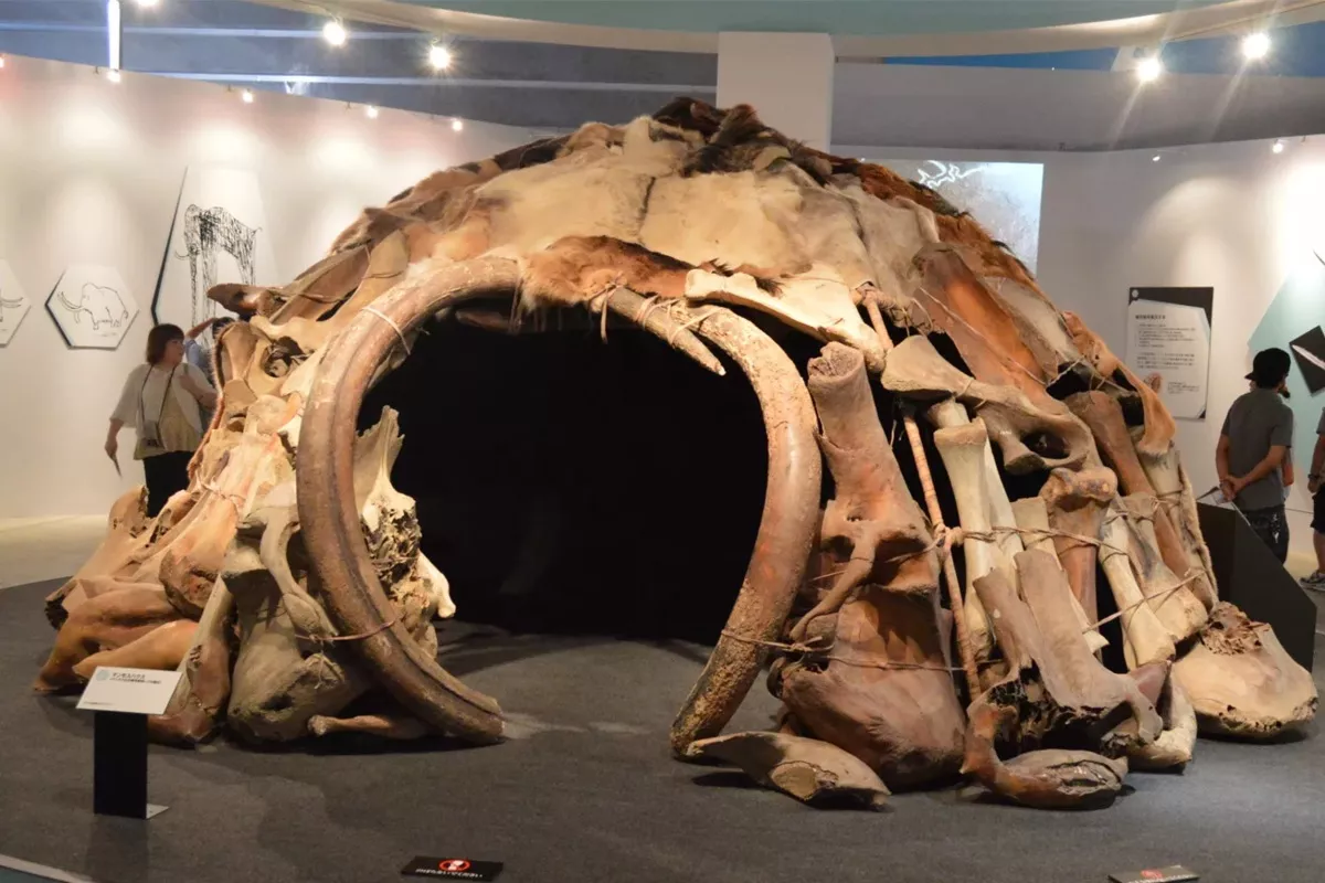 Naši předkové přežili chlad díky geniálnímu nápadu: domům z mamutích kostí.