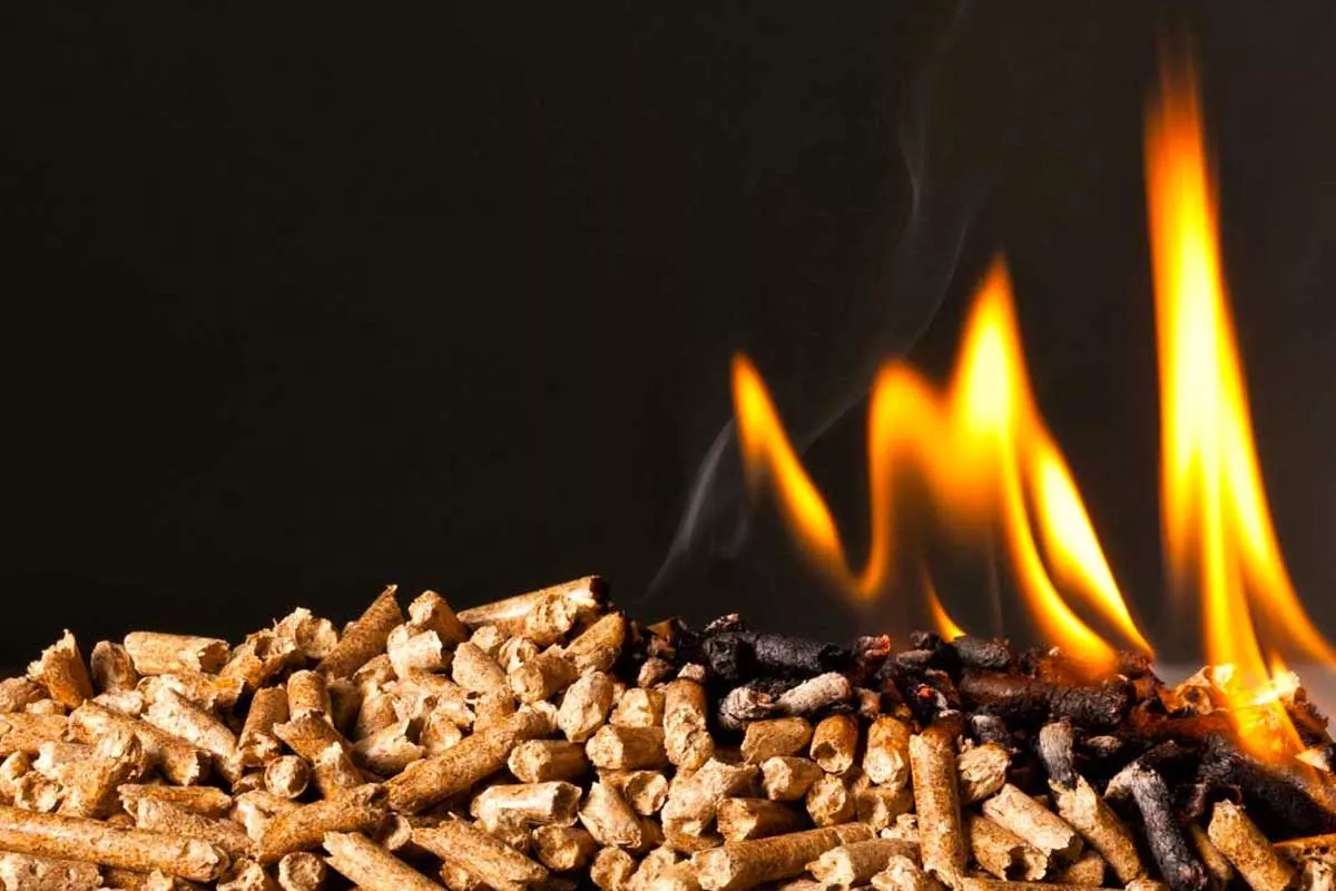 Dřevo versus pelety: kdo zvítězí v boji o dřevěné topení?
