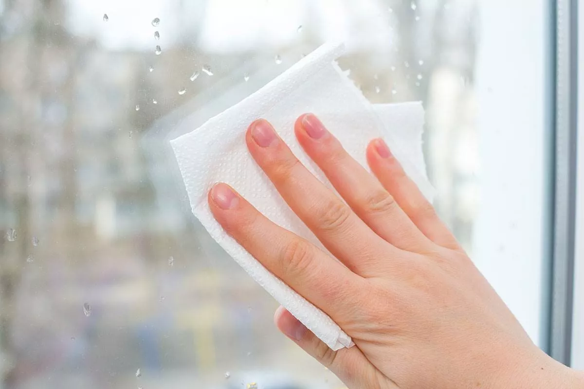 Položte to na parapet a okna za hodinu vyschnou. Funguje to celou zimu!